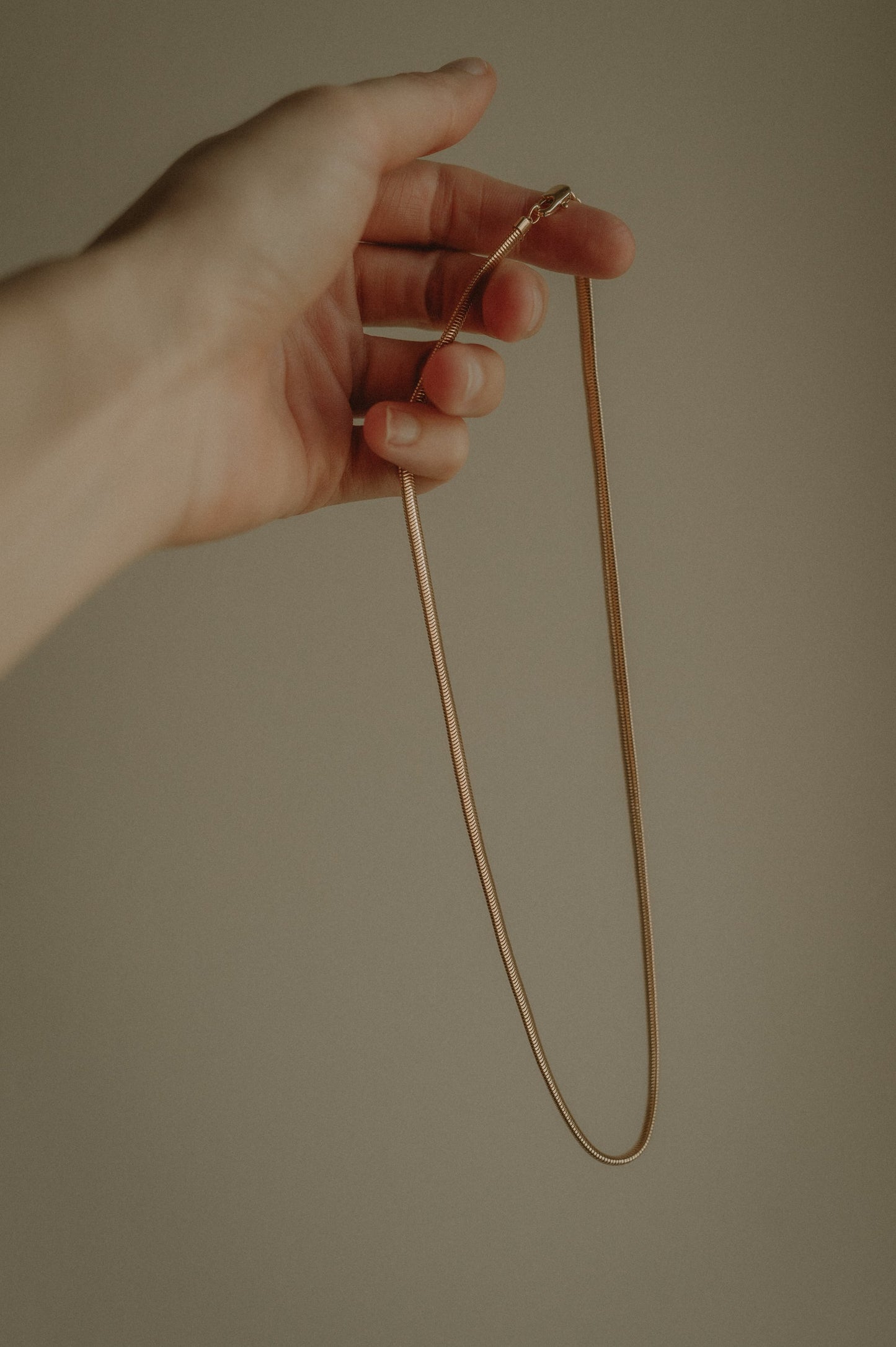 Snake Herring Necklace