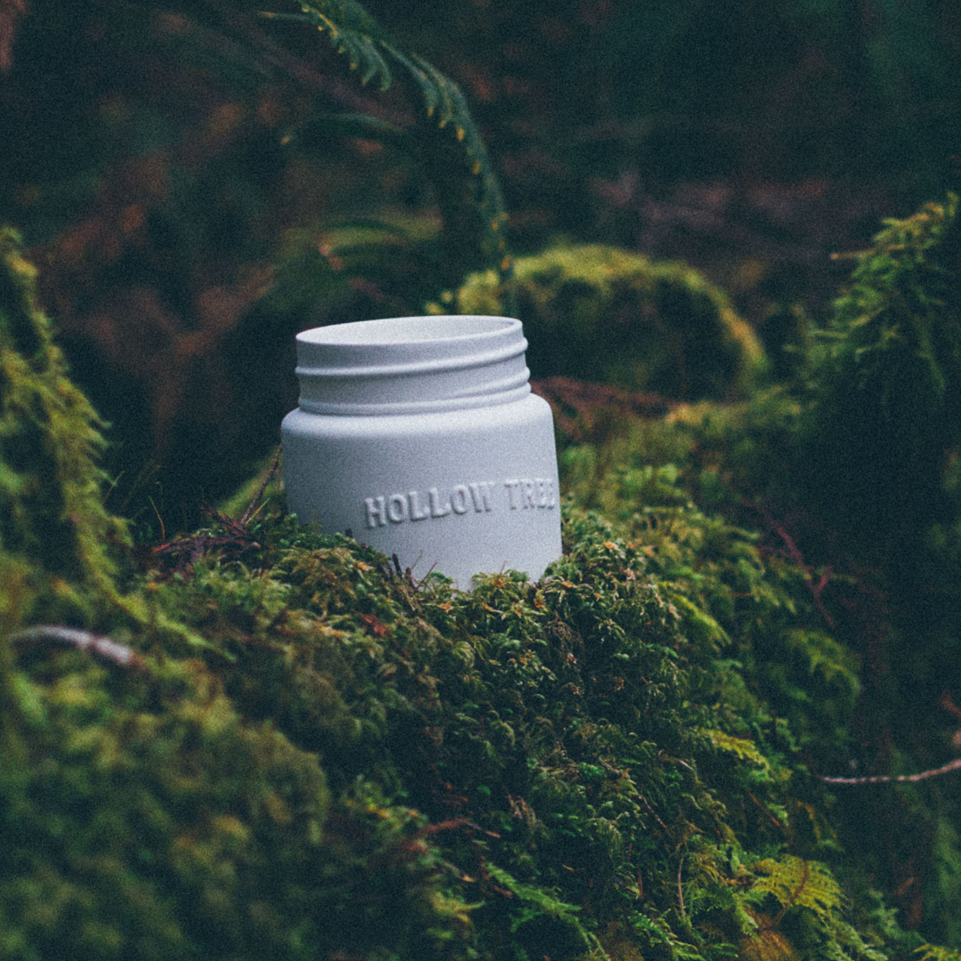 The Lions | Candle 9oz | Coconut Wax | Ceramic Jar