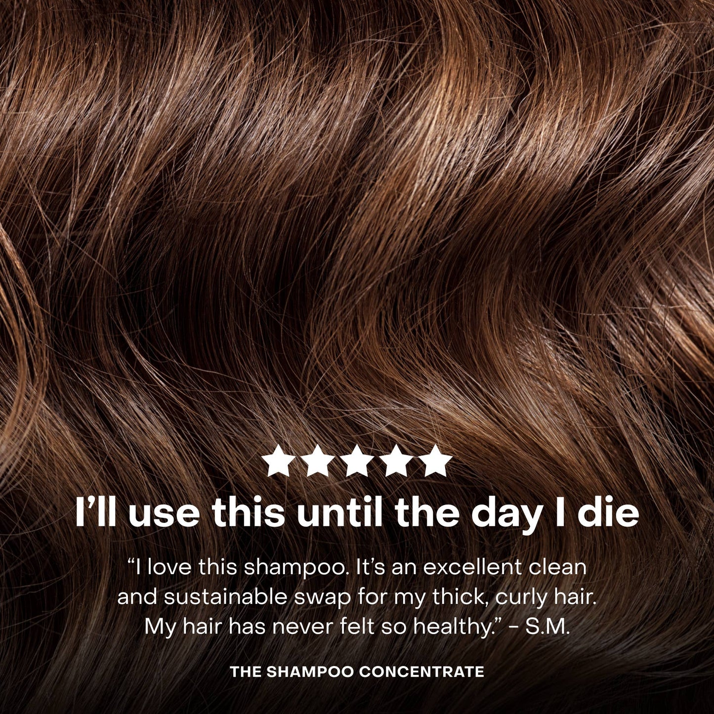 Shampoo | The Shampoo Concentrate Tin