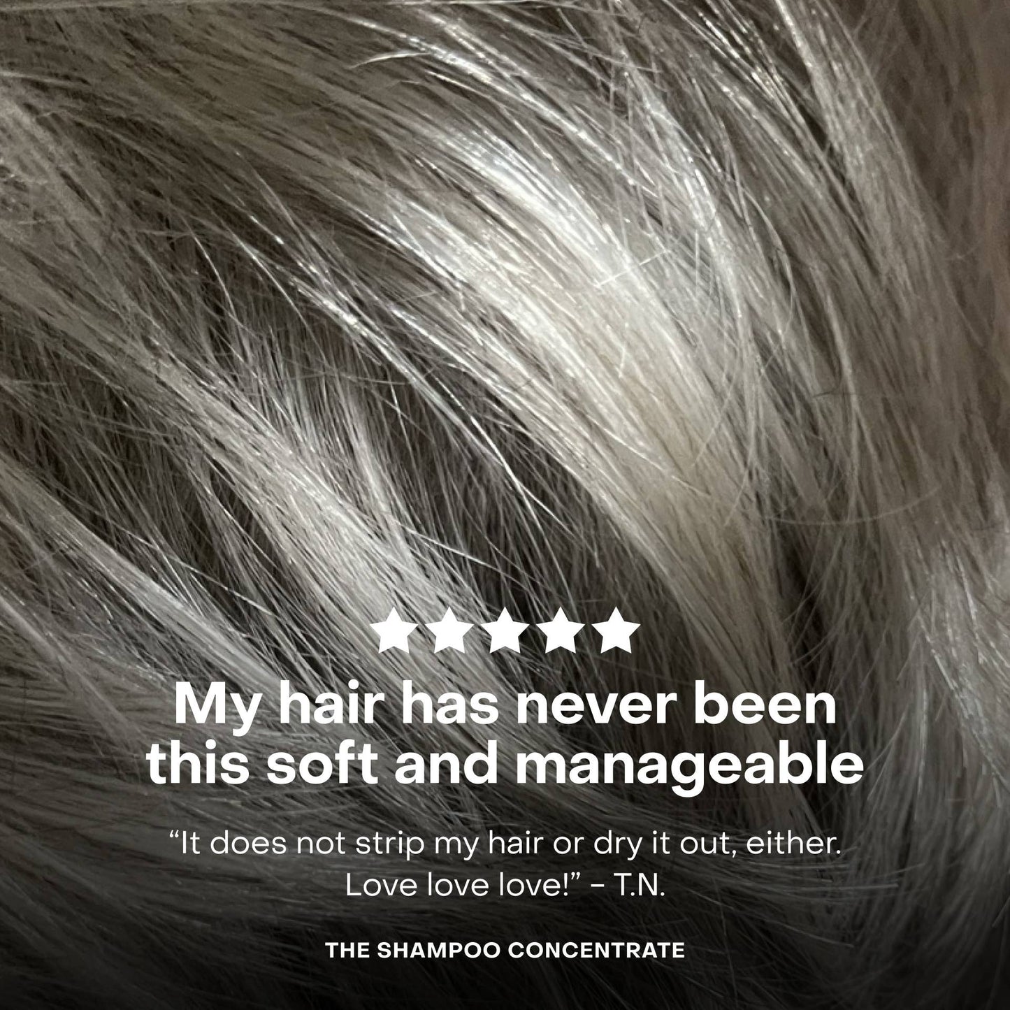 The Shampoo Concentrate